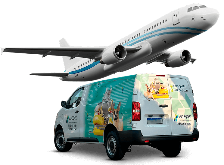 Confira algumas das companhias aéreas com as quais trabalhamos