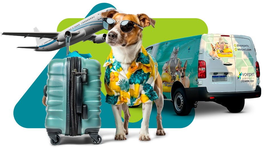 Viagem segura para seu pet 