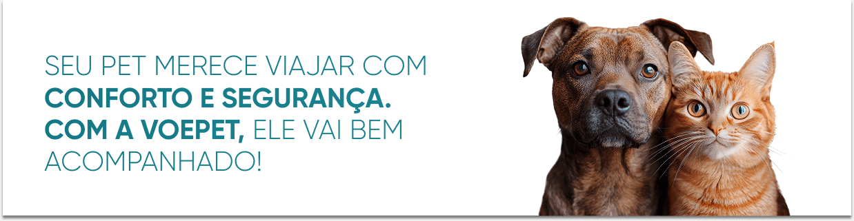 Banner Conteúdo