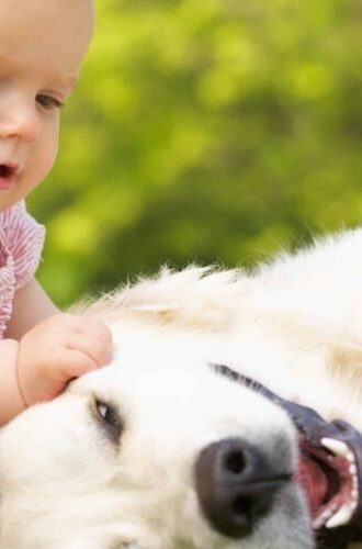 O mito de que os pets sabem quando alguém é frágil.